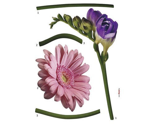 Wandtattoo Dekosticker Fiore 5-tlg. 50x70 cm