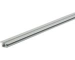 Hornbach Lauf- und Führungsprofil SlideLine 55 zum Einfräsen, 2000 mm, Aluminium silber eloxiert