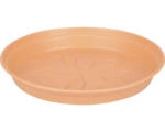 Hornbach Untersetzer elho Green Basics Kunststoff Ø 29 H 4 cm terracotta