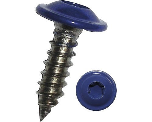 Blechschraube f.Nummernschild, 4,8 x 16 mm, Edelstahl blau, 100 Stück