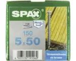 Hornbach Spax Terrassenschraube, Edelstahl A2 blank, Zylinderkopf T25, Fixiergewinde, 5x50 mm, 150 Stück