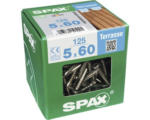 Hornbach Spax Terrassenschraube, Edelstahl A2 blank, Zylinderkopf T25, Fixiergewinde, 5x60 mm, 125 Stück