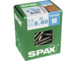 Hornbach Spax Terrassenschraube, Edelstahl A2 blank, Zylinderkopf T25, Fixiergewinde, 5x60 mm, 50 Stück