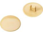 Hornbach Abdeckkappe für Excenter 25 mm, Beige, Kunststoff, 100 Stück