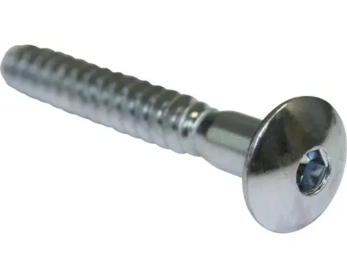 Holzschraube Flachrundkopf Innensechskant 7x60 mm, galv. verzinkt, 100 Stück