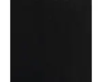Hornbach Naturstein Bodenfliese Absolut black 30,5x30,5 cm schwarz glänzend