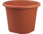 Hornbach Pflanztopf Geli Cylindro Kunststoff Ø 12 H 9,5 cm terracotta