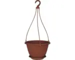 Hornbach Blumentopf Geli Galicia ca. 30 cm terra