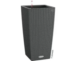 Pflanzvase Lechuza Cubico Cottage Kunststoff LxB 30 x 30 cm H 56 cm grau inkl. Erdbewässerungssystem und Wasserstandsanzeiger