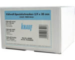 Hornbach Vidiwall-Spezialschrauben Knauf 3,9x30 mm 1000 Stück