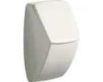 Hornbach Urinaldeckel Pareo Geberit 573410 weiß