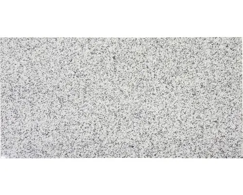 Naturstein Bodenfliese Palace 30,5x61,0 cm grau glänzend