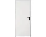 Hornbach Stahltür inkl. Eckzarge und Bodeneinstand 80x200 cm links