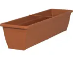 Hornbach Blumenkasten Geli Toscana Kunststoff 80x20x16 cm terracotta
