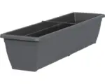 Hornbach Blumenkasten Geli Toscana Kunststoff 80x20x16 cm anthrazit