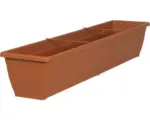 Hornbach Blumenkasten Geli Toscana Kunststoff 100x20x16 cm terracotta