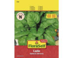 Hornbach Spinat 'Lazio' FloraSelf Select F1 Hybride Gemüsesamen