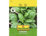 Hornbach Spinat 'Columbia' FloraSelf F1 Hybride Gemüsesamen