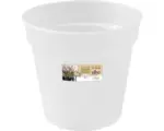 Hornbach Pflanztopf elho Provence Orchidee Kunststoff Ø 13 H 12 cm transparent