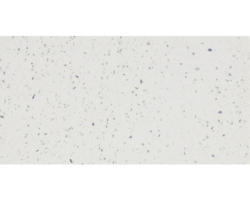 Verbundwerkstoff Bodenfliese 30,0x60,0 cm weiß glänzend rektifiziert