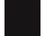 Hornbach Steinzeug Wandfliese Color One 19,8x19,8 cm schwarz glänzend