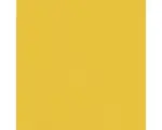 Hornbach Steinzeug Wandfliese Color One 19,8x19,8 cm gelb glänzend
