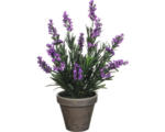 Hornbach Kunstpflanze Lavendel Ø 20 H 33 cm violett