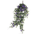 Hornbach Hänge-Kunstblume Petunie Höhe: 15 cm violett