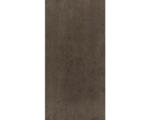 Hornbach Feinsteinzeug Bodenfliese City mogano 30x60 cm