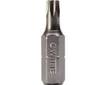 Hornbach Bit Stainless Witte ¼" 25 mm Torx T 15