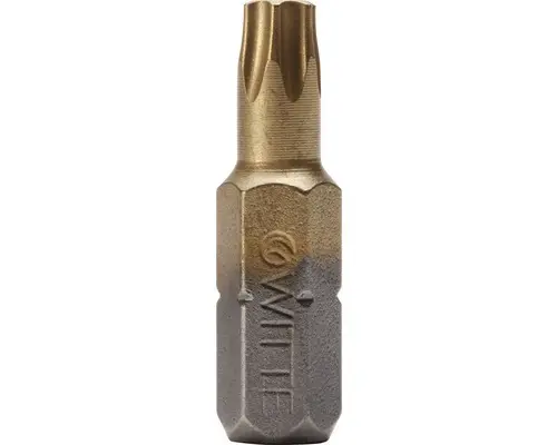 Bit Titan 2er Pack Witte ¼" 25 mm Torx T 25