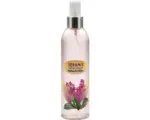 Hornbach Vitalisierende Blattpflege für Orchideen Seramis 250 ml