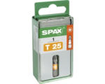 Hornbach Spax Torx-Bit T25