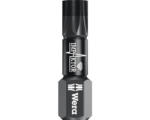 Hornbach Bit Impaktor Wera TX 25 x 25, DC 867/1 SB