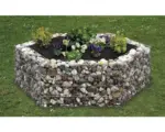 Hornbach Hochbeet bellissa Gabione 6-Eck 135 x 120 x 40 cm