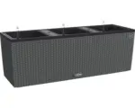 Hornbach Blumenkasten Lechuza Trio Cottage Kunststoff 100x32,5x34,5 cm granit inkl. Erdbewässerungssystem und Wasserstandsanzeiger