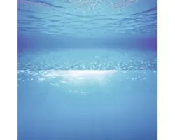 Juwel Rückwand Poster Wasser XL 150 x 60 cm