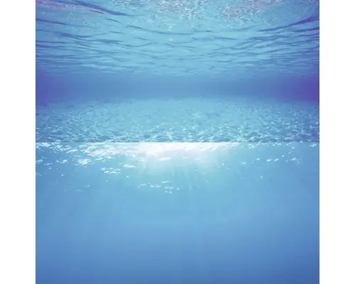 Juwel Rückwand Poster Wasser XL 150 x 60 cm