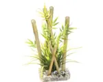 Hornbach Bamboo large plants 25 cm hoch