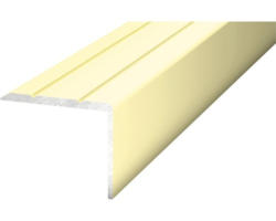 Winkelprofil Alu gold selbstklebend 24,5 x 20 x 1000 mm