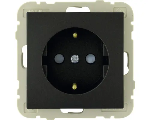 Steckdosen-Einsatz Logus grau