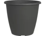 Hornbach Pflanztopf Geli Nevada Kunststoff Ø 10 H 8 cm anthrazit