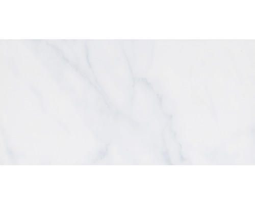 Steinzeug Wandfliese Carrara 30,0x60,0 cm grau glänzend