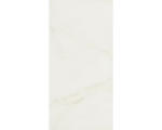 Hornbach Steingut Wandfliese Carrara 30,0x60,0 cm weiß glänzend