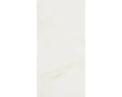 Steingut Wandfliese Carrara 30,0x60,0 cm weiß glänzend