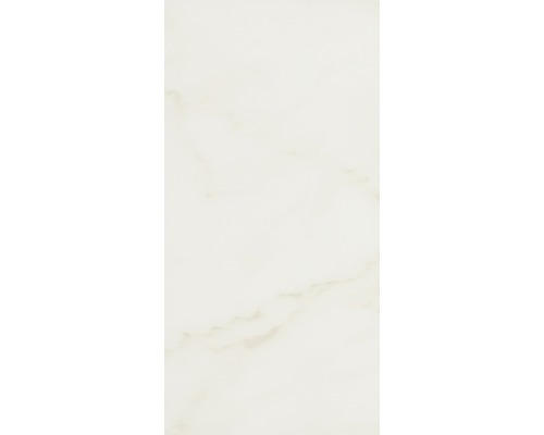 Steingut Wandfliese Carrara 30,0x60,0 cm weiß glänzend