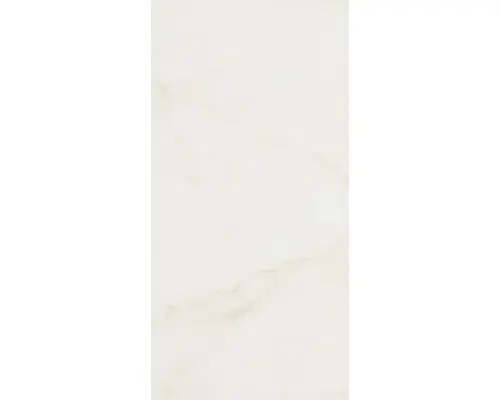 Steingut Wandfliese Carrara 30,0x60,0 cm weiß glänzend