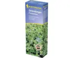 Hornbach Perserklee Kiepenkerl, 400g