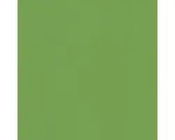 Steinzeug Wandfliese Uni barvy 14,8x14,8 cm grün glänzend