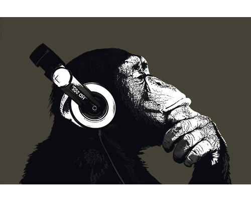 Poster The Chimp Stereo 61x91,5 cm